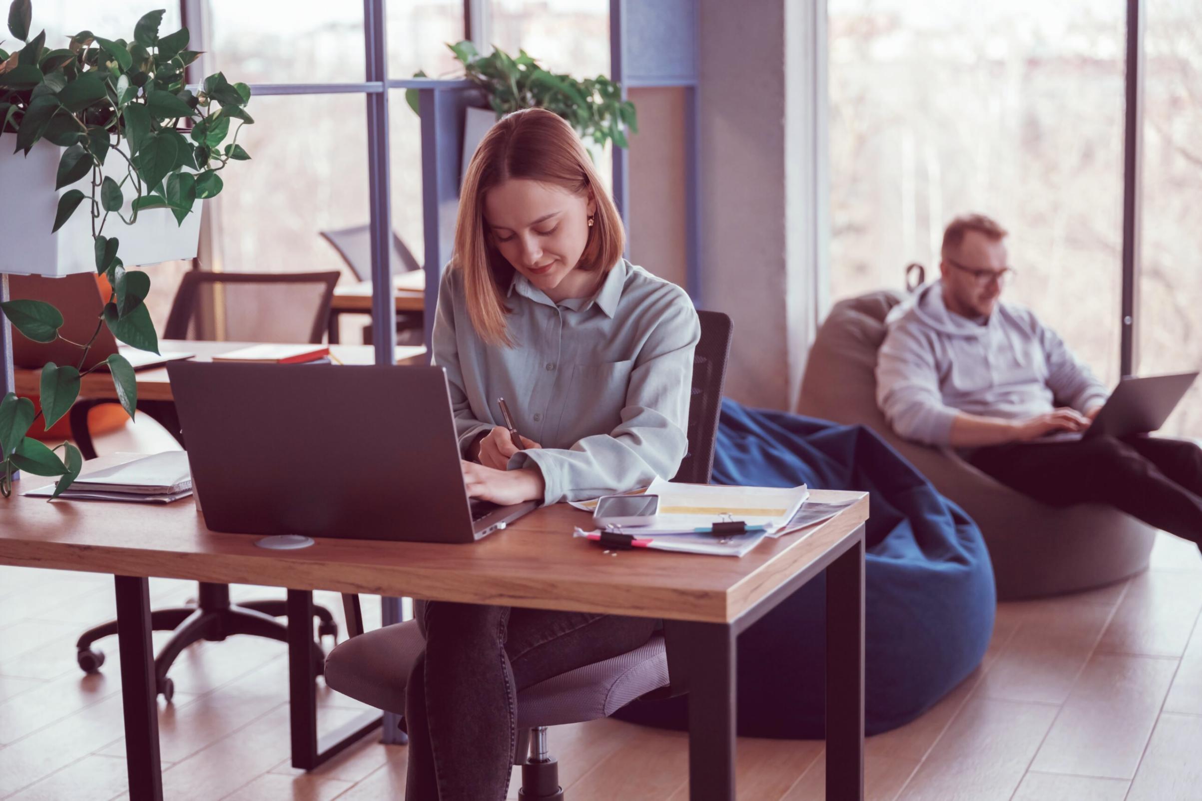 Session de travail collaboratif sur un projet paléoécologique